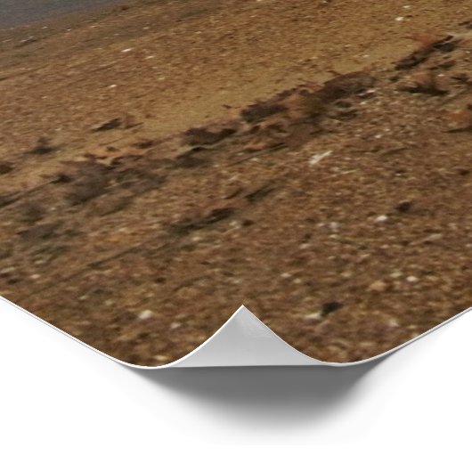 Cover Print Poster (Ecke)