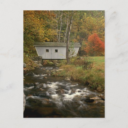 Covered Bridge Foliage Kent Falls Staat Park Postkarte (Vorderseite)