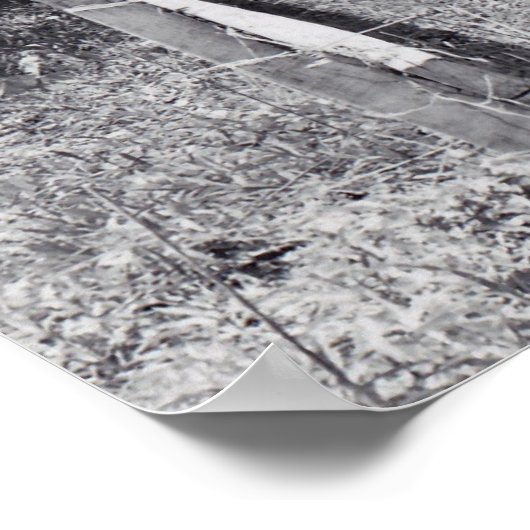 Covered Bridge Poster (Ecke)