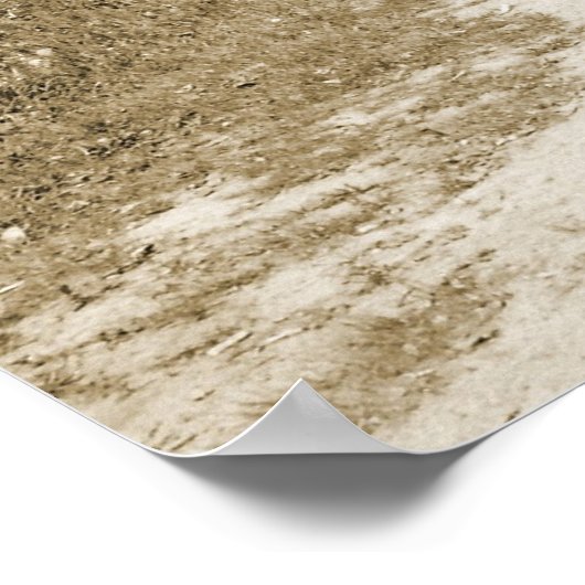 Covered Bridge Poster (Ecke)