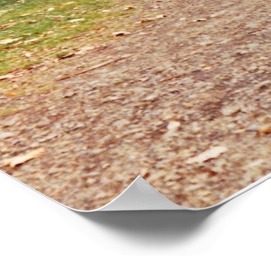 Covered Bridge Poster (Ecke)