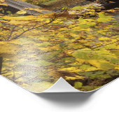 Covered bridge, Vermont, USA 2 Fotodruck (Ecke)