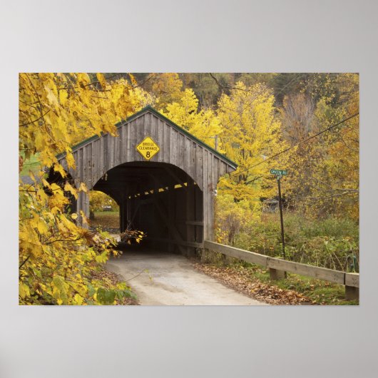 Covered bridge, Vermont, USA 2 Poster (Vorne)