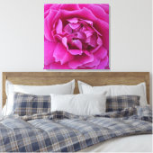 Coveted Rose Stretched Canvas Print Leinwanddruck (Insitu (Schlafzimmer))