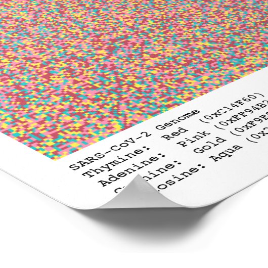 COVID-19 Genom Poster (Ecke)