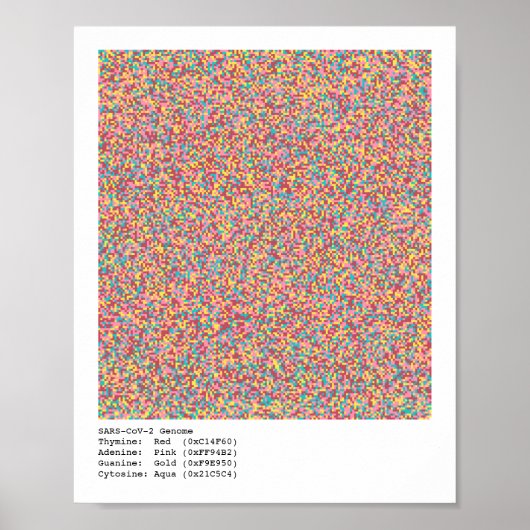 COVID-19 Genom Poster (Vorne)