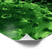 Covid-Virus-Infektion Poster (Ecke)