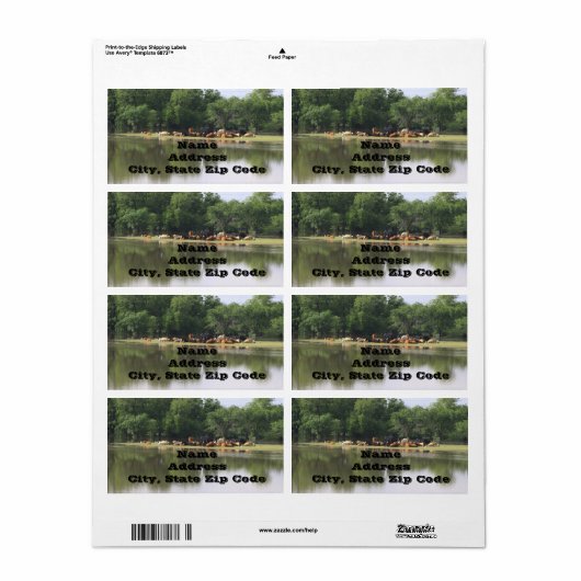 Cow Address Labels (Vorne)