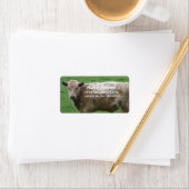 Cow Address Labels Adressaufkleber (Insitu)