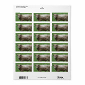 Cow Address Labels Adressaufkleber (Vorne)