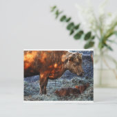 Cow and Calf - Postcard Postkarte (Stehend Vorderseite)