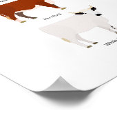 cow breeds poster (Ecke)