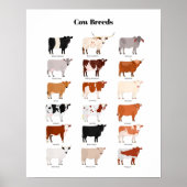 cow breeds poster (Vorne)
