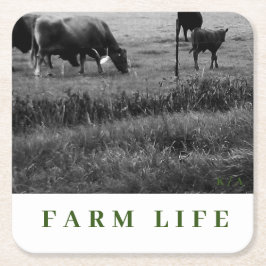 Cow Family Thema Drinks Küste Rechteckiger Pappuntersetzer