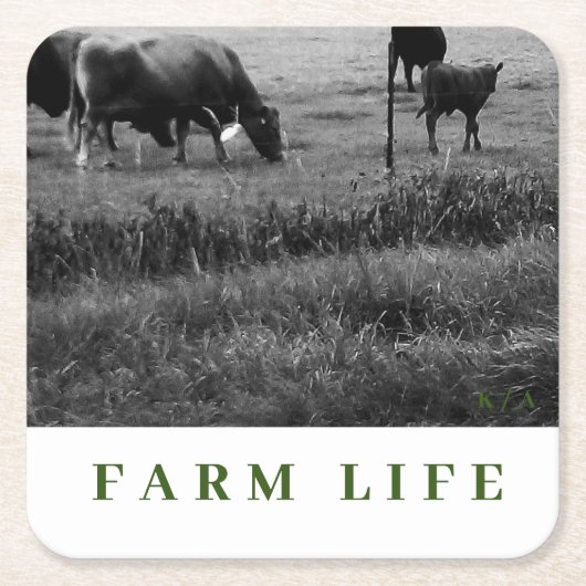 Cow Family Thema Drinks Küste Rechteckiger Pappuntersetzer (Vorderseite)