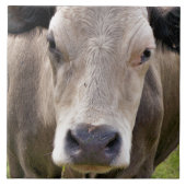 COW FLIESE (Vorderseite)