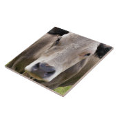 COW FLIESE (Seite)