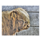 COW FOTODRUCK (Vorne)