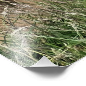 COW FOTODRUCK (Ecke)