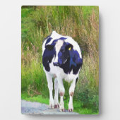 COW FOTOPLATTE (Vorderseite)