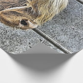 COW GESCHENKPAPIER (Ecke)