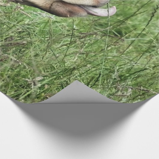 COW GESCHENKPAPIER (Ecke)