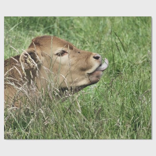 COW GESCHENKPAPIER (Flach)