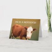 Cow Joke Happy Birthday Karte (Vorderseite)