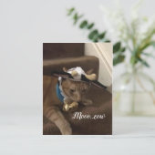 Cow Lancelot Postkarte (Stehend Vorderseite)