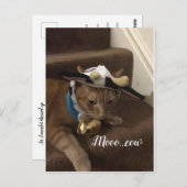 Cow Lancelot Postkarte (Vorne/Hinten)