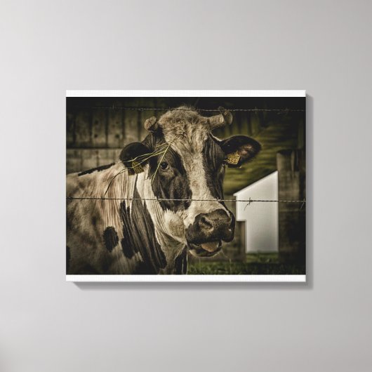 cow leinwanddruck (Vorderseite)