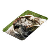 COW MAGNET (Linke Seite)