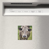 COW MAGNET (In Situ (Geschirrspüler))