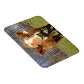 Cow Magnet (Rechte Seite)