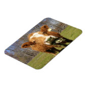 Cow Magnet (Linke Seite)