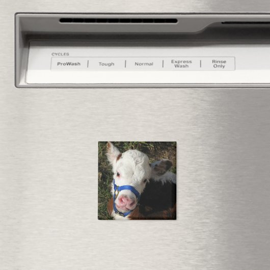 Cow Magnet (In Situ (Geschirrspüler))