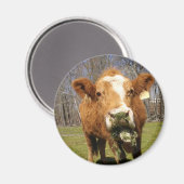 Cow Magnet (Vorderseite/Rückseite)