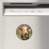 Cow Magnet (In Situ (Geschirrspüler))