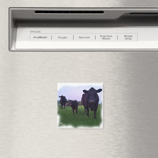 COW MAGNET ! (In Situ (Geschirrspüler))