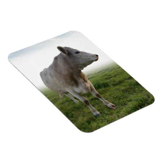 COW MAGNET (Rechte Seite)