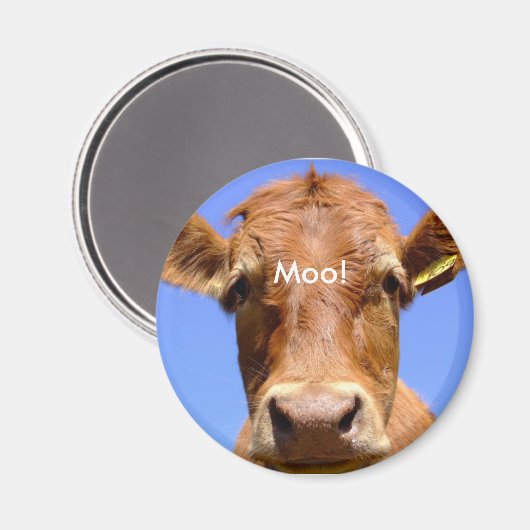 Cow Magnet (Vorderseite/Rückseite)
