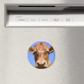 Cow Magnet (In Situ (Geschirrspüler))