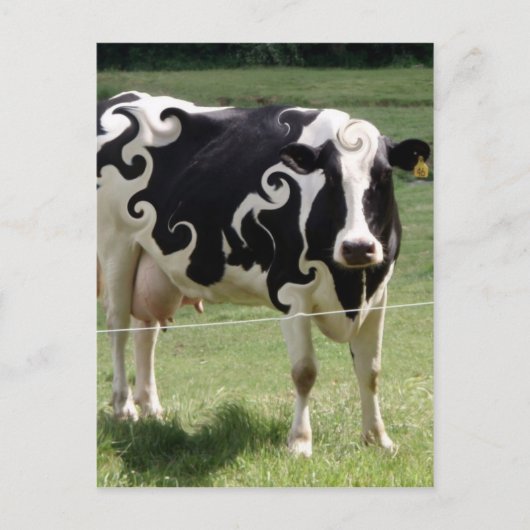 COW MIT SCHWIMMERN POSTKARTE (Vorderseite)