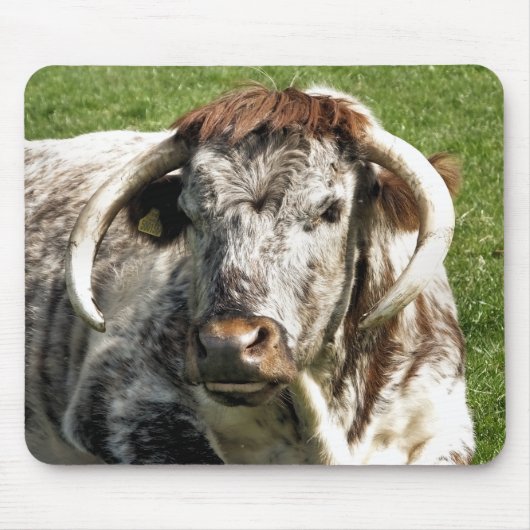 COW MOUSEPAD (Vorne)