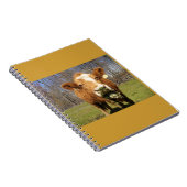 Cow-Notebook Notizblock (Rechte Seite)