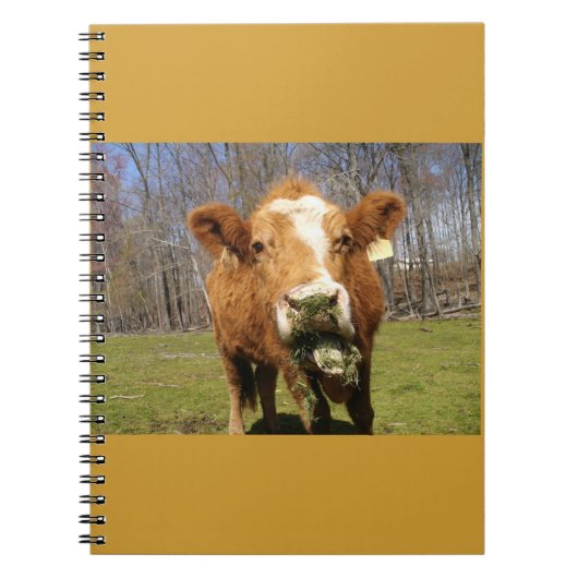 Cow-Notebook Notizblock (Vorderseite)