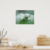 Cow Parsley Blume Poster (Küche)