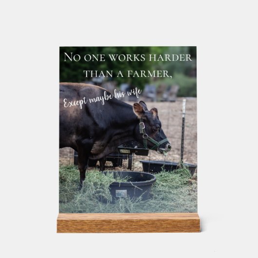 cow poster (Vorderseite)