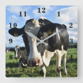 Cow Quadratische Wanduhr (Vorderseite)