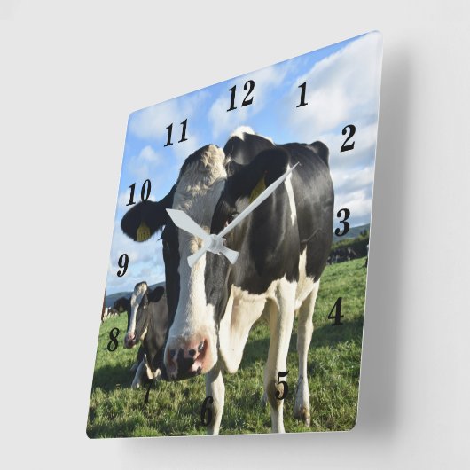 Cow Quadratische Wanduhr (Winkel)